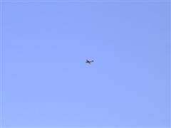 PICT2004.JPG